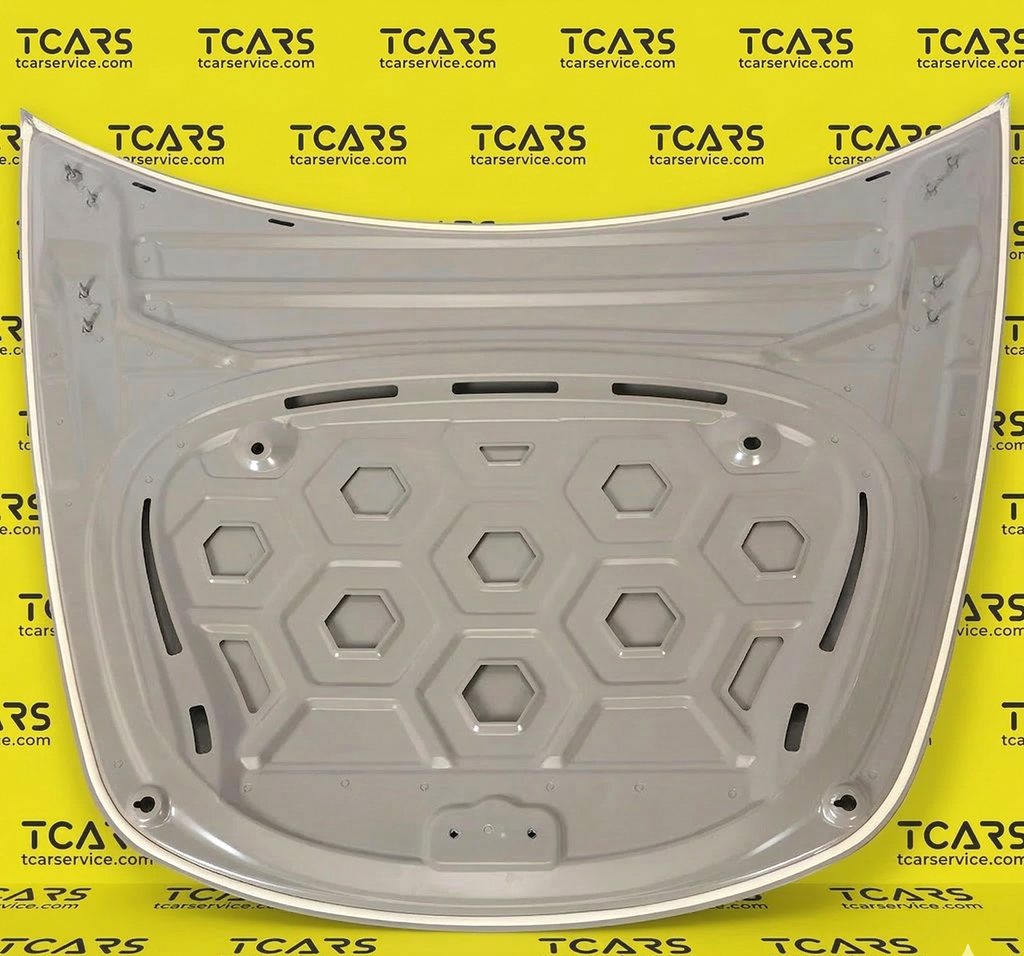 Tesla Model 3 2017-2023 Hood Bonnet Panel Cover - New 1081390-E0-C