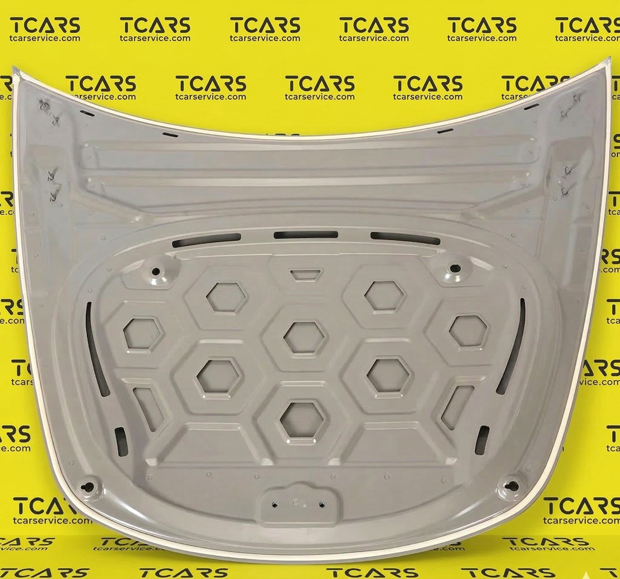 Tesla Model 3 2017-2023 Hood Bonnet Panel Cover - New 1081390-E0-C