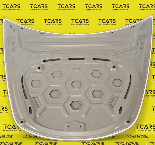 Tesla Model 3 2017-2023 Hood Bonnet Panel Cover - New 1081390-E0-C