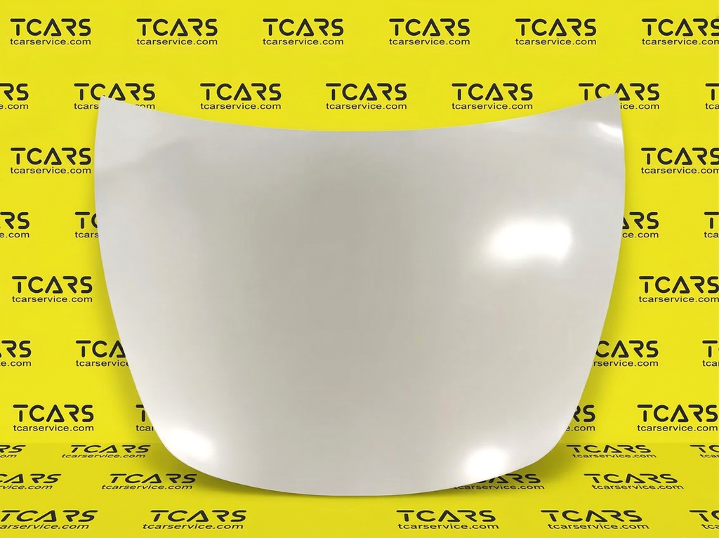 Tesla Model 3 2017-2023 Hood Bonnet Panel Cover - New 1081390-E0-C