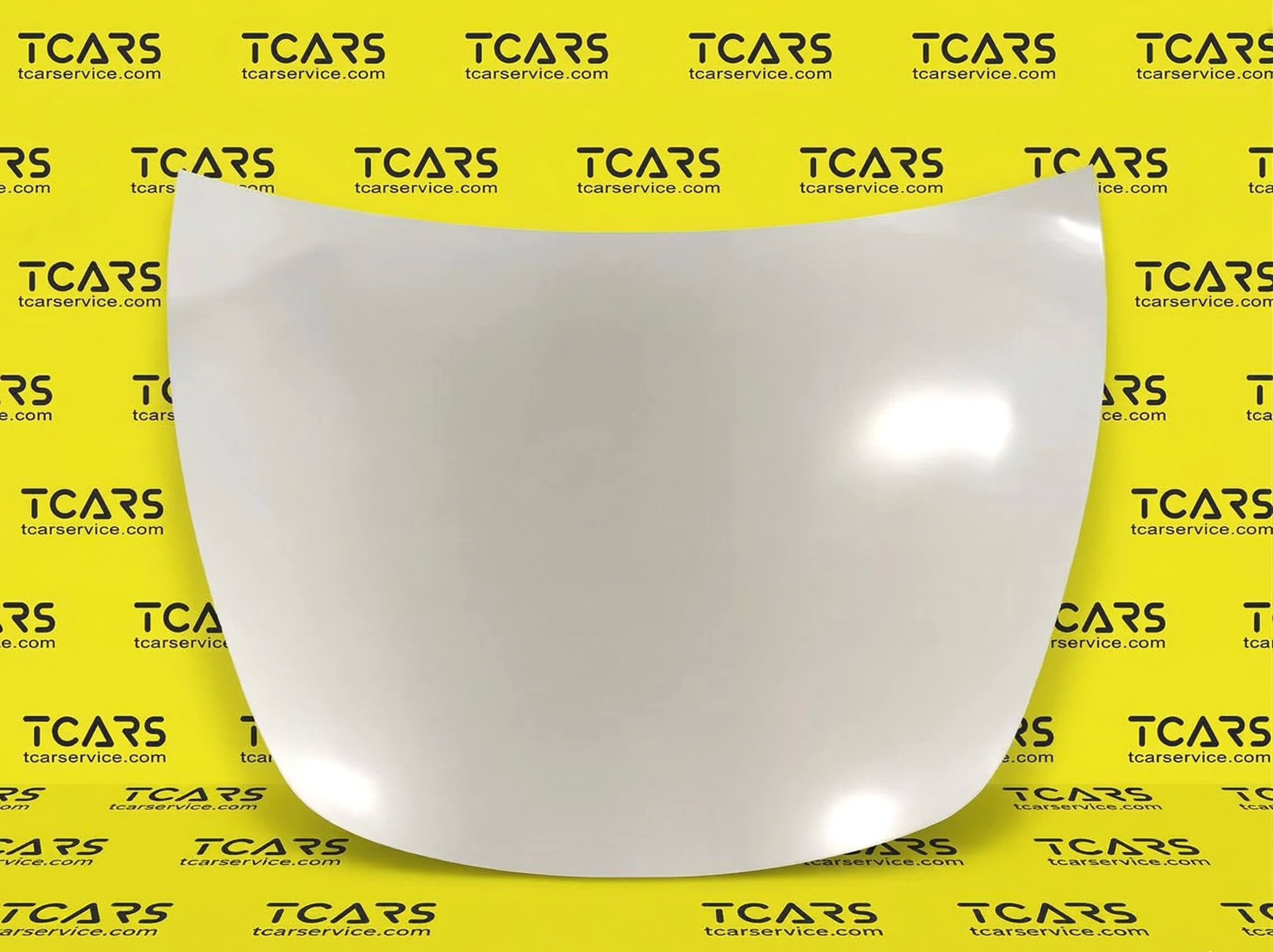 Tesla Model 3 2017-2023 Hood Bonnet Panel Cover - New 1081390-E0-C